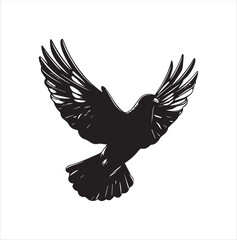 pigeon isolated on white background, bird, silhouette, eagle, vector, flying, animal, illustration, wing, nature, black, birds, dove, feather, wings, tattoo, fly, hawk, design, wildlife, flight, freed