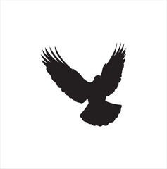 pigeon isolated on white background, bird, silhouette, eagle, vector, flying, animal, illustration, wing, nature, black, birds, dove, feather, wings, tattoo, fly, hawk, design, wildlife, flight, freed