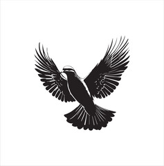 pigeon isolated on white background, bird, silhouette, eagle, vector, flying, animal, illustration, wing, nature, black, birds, dove, feather, wings, tattoo, fly, hawk, design, wildlife, flight, freed