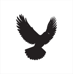 Obraz premium pigeon isolated on white background, bird, silhouette, eagle, vector, flying, animal, illustration, wing, nature, black, birds, dove, feather, wings, tattoo, fly, hawk, design,Art & Illustration