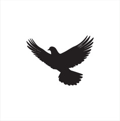 pigeon isolated on white background, bird, silhouette, eagle, vector, flying, animal, illustration, wing, nature, black, birds, dove, feather, wings, tattoo, fly, hawk, design,Art & Illustration