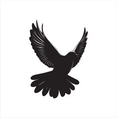 pigeon isolated on white background, bird, silhouette, eagle, vector, flying, animal, illustration, wing, nature, black, birds, dove, feather, wings, tattoo, fly, hawk, design,Art & Illustration