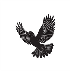 pigeon isolated on white background, bird, silhouette, eagle, vector, flying, animal, illustration, wing, nature, black, birds, dove, feather, wings, tattoo, fly, hawk, design,Art & Illustration