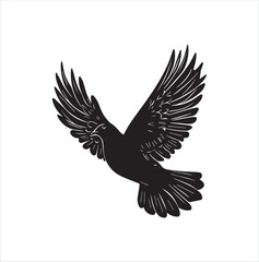 Obraz premium pigeon isolated on white background, bird, silhouette, eagle, vector, flying, animal, illustration, wing, nature, black, birds, dove, feather, wings, tattoo, fly, hawk, design,Art & Illustration