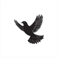 pigeon isolated on white background, bird, silhouette, eagle, vector, flying, animal, illustration, wing, nature, black, birds, dove, feather, wings, tattoo, fly, hawk, design,Art & Illustration