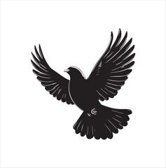 pigeon isolated on white background, bird, silhouette, eagle, vector, flying, animal, illustration, wing, nature, black, birds, dove, feather, wings, tattoo, fly, hawk, design,Art & Illustration