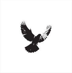 pigeon isolated on white background, bird, silhouette, eagle, vector, flying, animal, illustration, wing, nature, black, birds, dove, feather, wings, tattoo, fly, hawk, design,Art & Illustration