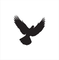 pigeon isolated on white background, bird, silhouette, eagle, vector, flying, animal, illustration, wing, nature, black, birds, dove, feather, wings, tattoo, fly, hawk, design,Art & Illustration