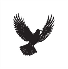 pigeon isolated on white background, bird, silhouette, eagle, vector, flying, animal, illustration, wing, nature, black, birds, dove, feather, wings, tattoo, fly, hawk, design,Art & Illustration