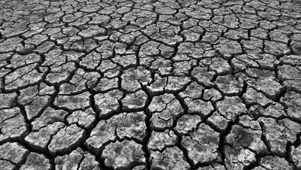 broken and cracked lands caused by drought, lands split open by thirst,
