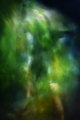 Abstract Green Veil Dancer