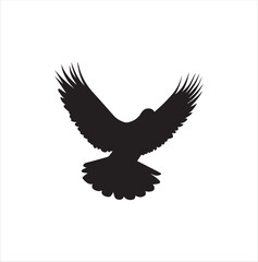 pigeon isolated on white background, bird, silhouette, eagle, vector, flying, animal, illustration, wing, nature, black, birds, dove, feather, wings, tattoo, fly, hawk, design,Art & Illustration