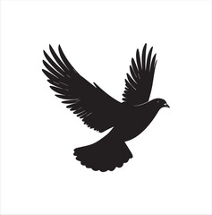 pigeon isolated on white background, bird, silhouette, eagle, vector, flying, animal, illustration, wing, nature, black, birds, dove, feather, wings, tattoo, fly, hawk, design,Art & Illustration