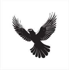 pigeon isolated on white background, bird, silhouette, eagle, vector, flying, animal, illustration, wing, nature, black, birds, dove, feather, wings, tattoo, fly, hawk, design,Art & Illustration