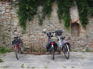 Rowery stojące przed murem porośniętym winoroślą © EwaAF