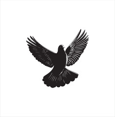 pigeon isolated on white background, bird, silhouette, eagle, vector, flying, animal, illustration, wing, nature, black, birds, dove, feather, wings, tattoo, fly, hawk, design,Art & Illustration