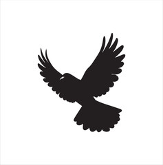 pigeon isolated on white background, bird, silhouette, eagle, vector, flying, animal, illustration, wing, nature, black, birds, dove, feather, wings, tattoo, fly, hawk, design,Art & Illustration