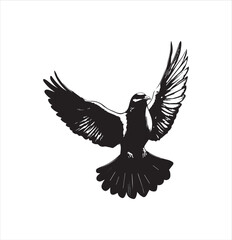 pigeon isolated on white background, bird, silhouette, eagle, vector, flying, animal, illustration, wing, nature, black, birds, dove, feather, wings, tattoo, fly, hawk, design,Art & Illustration