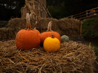 pumpkin on bale, halloween decoration