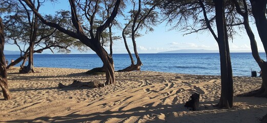 Beach by the ocean