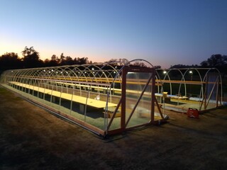Cannabis hoop house structures.
