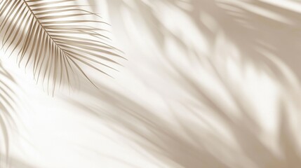Elegant minimalist background with light beige tones, subtle shadows, and a blurred palm leaf silhouette in the upper left corner, set against a white wall.