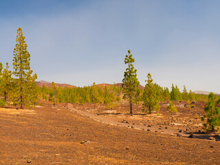 spot in Tenerife with many red rocks and beautiful mountain landscape background