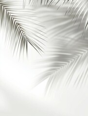 Obraz premium Elegant Minimalist Background Featuring White Tones and Subtle Shadows, with a Blurred Palm Leaf Silhouette in the Upper Left Corner Against a White Wall, Ideal for Various Design Uses.