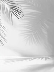 Elegant Minimalist Background Featuring White Tones and Subtle Shadows, with a Blurred Palm Leaf Silhouette in the Upper Left Corner Against a White Wall, Ideal for Various Design Uses.