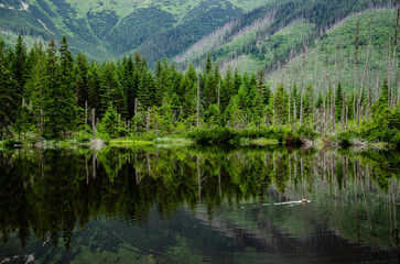 lake in the mountains