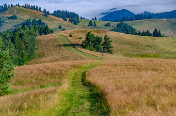 mountain road in the mountains