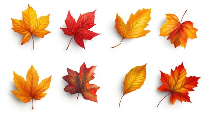 Vibrant autumn leaves collection on white background