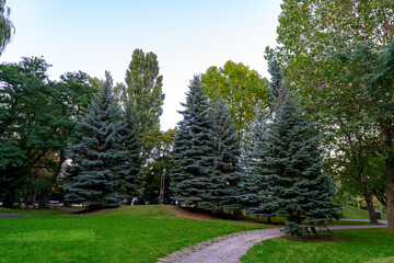 北海道　中島公園の風景