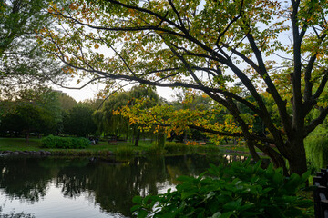 北海道　中島公園の風景
