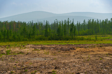 Cleared land with forest and distant mountains in a rural area