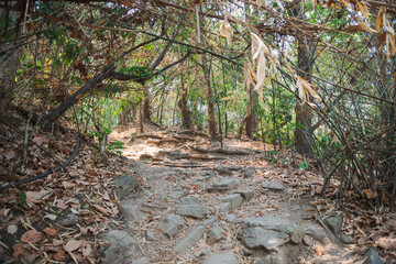 A hiking track to Wat Phalet