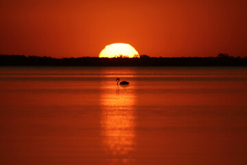 sunset over the lake