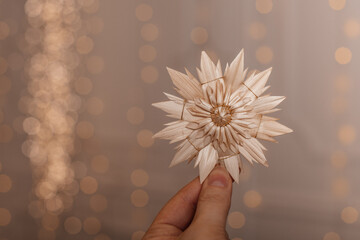 A person holding a delicate straw star ornament against a blurred festive background. The intricate details highlight the craftsmanship of this traditional Christmas decoration.