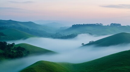 Fototapeta premium Misty green hills at sunrise, tranquil nature scene. Serenity and tranquility concept