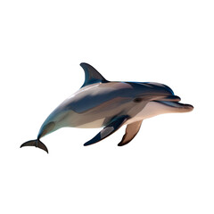  dolphin fish  close up against a white background 