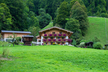 Obraz premium house in the forest