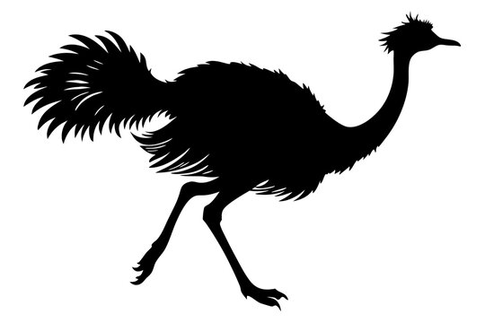 recommend clip art:  Cute Emu silhouette minimalistic vector art illustration 