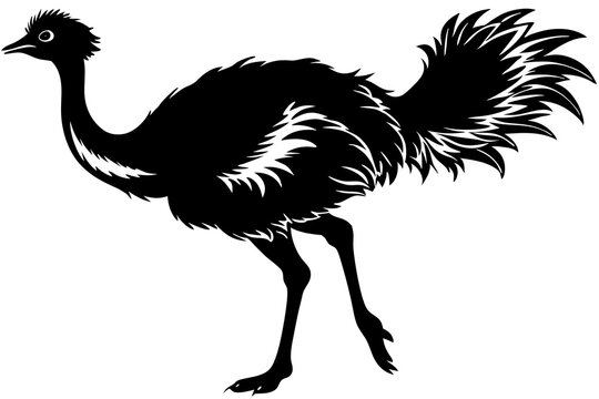recommend clip art:  Cute Emu silhouette minimalistic vector art illustration 