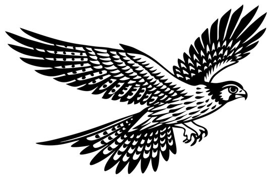 black and white falcon soaring in flight clip art preview