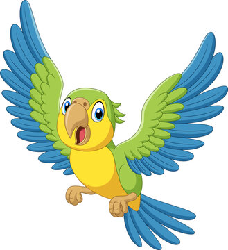 Illustration of parrot cartoon flying
