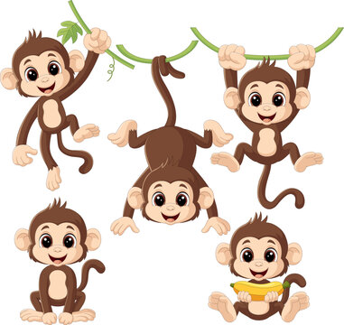 Illustration of cartoon monkey collection set