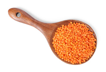 Raw lentils in spoon isolated on white, top view