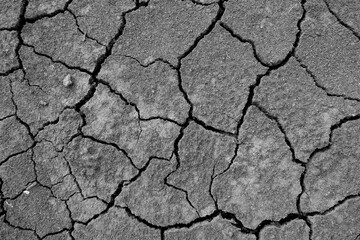 Wall texture soil dry crack pattern of drought lack of water of nature brown old broken background.
