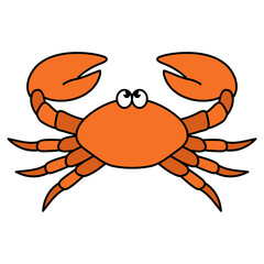 crab animal illustration