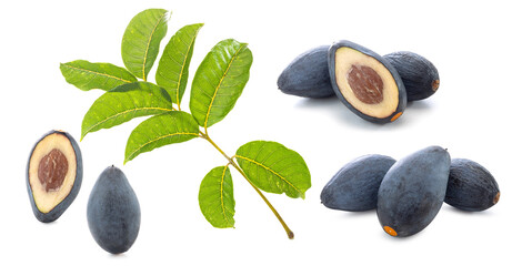 Canarium pimela black fruit with leaves on white background.